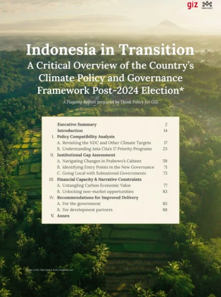 Cover of Indonesia in Transition